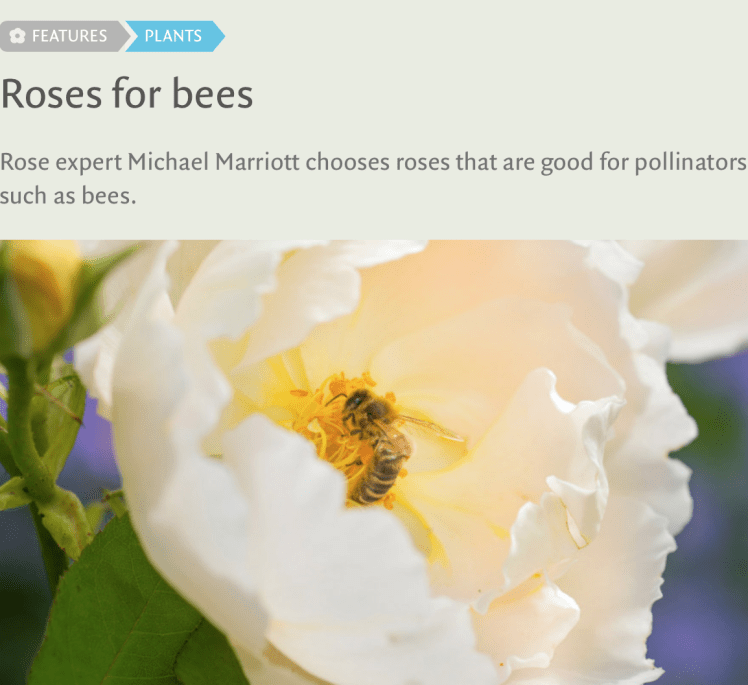 Screen Shot 2017-05-24 at 12.08.19 PM